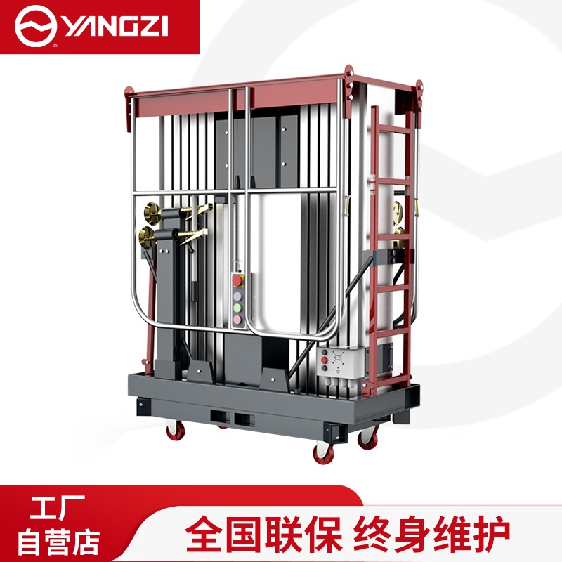 扬子直立式升降机高配双柱铝合金YZGS2